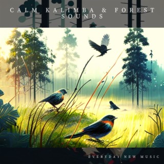 Calm Kalimba & Forest Sounds