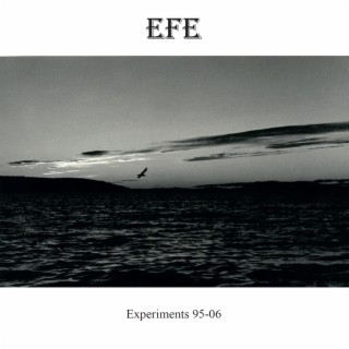 Experiments 95-06