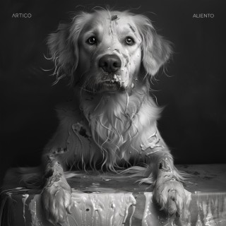 Aliento lyrics | Boomplay Music