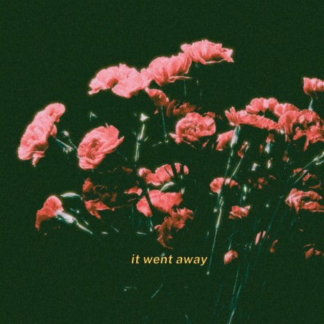 it went away | Boomplay Music