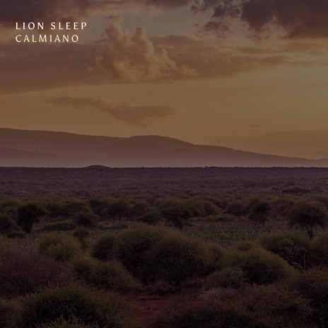 Lion Sleep | Boomplay Music