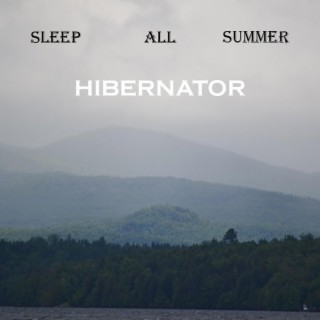 Hibernator