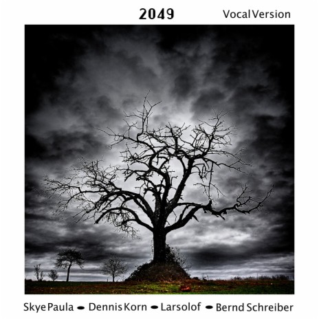 2049 (Vocal Version) ft. Skye Paula, larsolof & Bernd Schreiber | Boomplay Music