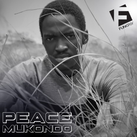 Peace | Boomplay Music