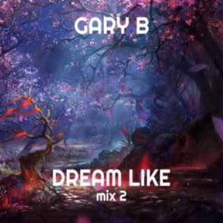 Dream Like Mix 2