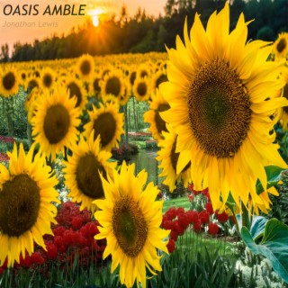 OASIS AMBLE