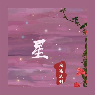 星 lyrics | Boomplay Music