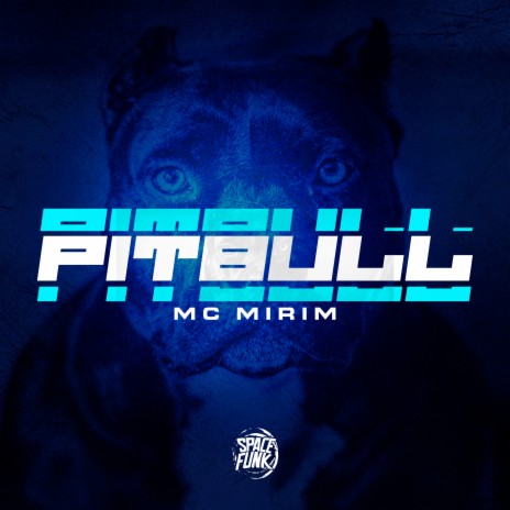 Pitbull ft. DJ Lano SP | Boomplay Music