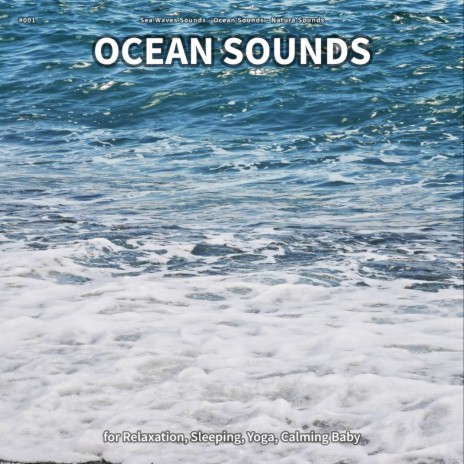 Ocean Sounds, Pt. 93 ft. Ocean Sounds & Nature Sounds