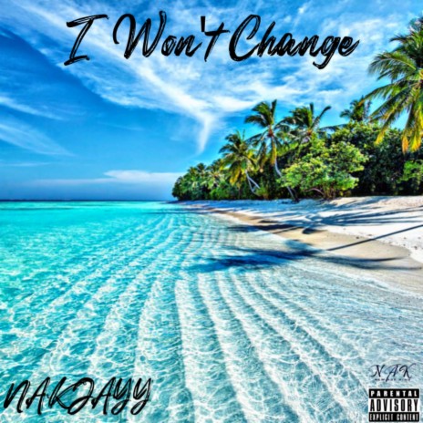 I Won't Change | Boomplay Music