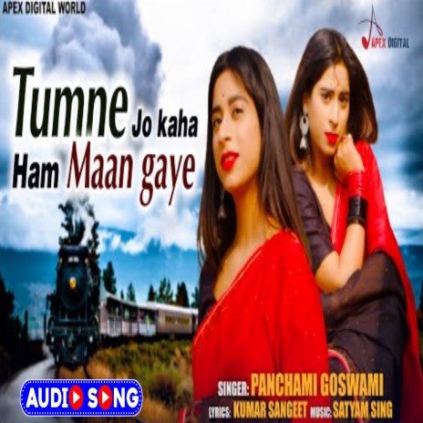 Tumne Jo Kahe Hum Maan Gaye | Boomplay Music