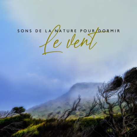 Vent fort et feuilles qui tombent | Boomplay Music