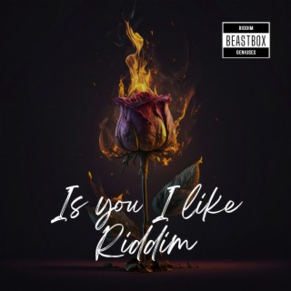 Is You I like Riddim