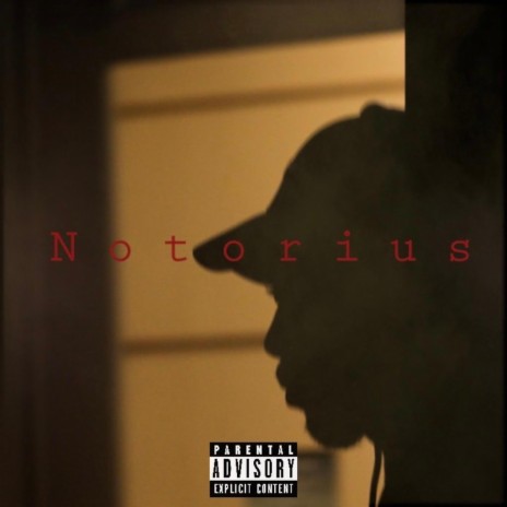 Notorius | Boomplay Music