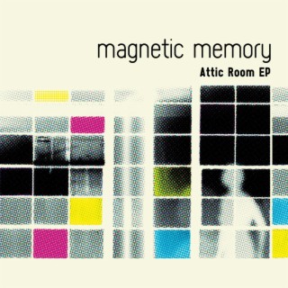 Magnetic Memory