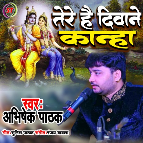 Tere Hai Deewane Kanha (Hindi Krishna Bhajan) | Boomplay Music