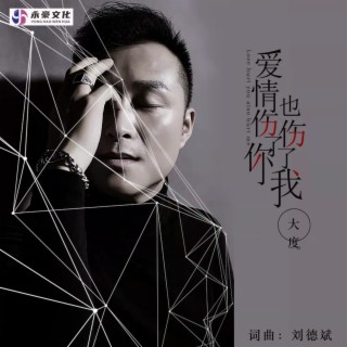 爱情伤了你也伤了我 lyrics | Boomplay Music