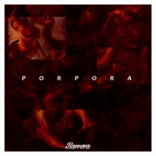 Porpora