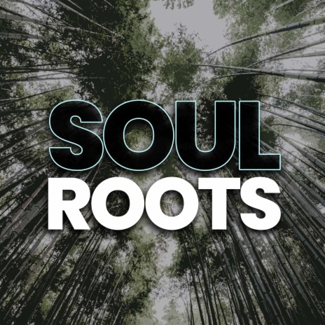 Soul roots | Boomplay Music