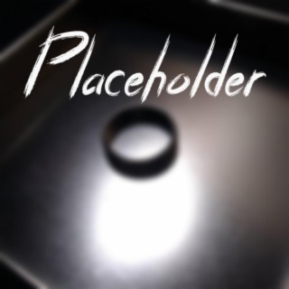 Placeholder (Remix) lyrics | Boomplay Music
