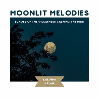 Moonlit Melodies: Echoes of the Wilderness Calming the Mind