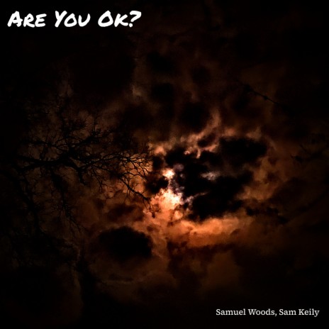 Are You Ok? ft. Sam Keily | Boomplay Music