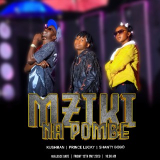 Mziki Na Pombe lyrics | Boomplay Music