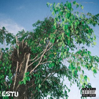 estu.