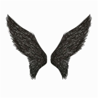 Black Feathered Angels