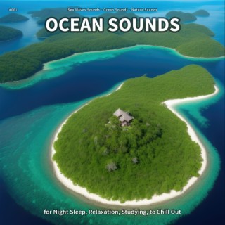 #001 Ocean Sounds for Night Sleep, Relaxation, Studying, to Chill Out