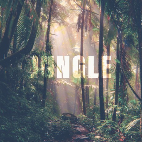 Jungle | Boomplay Music