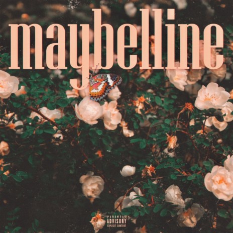 Maybelline | Boomplay Music