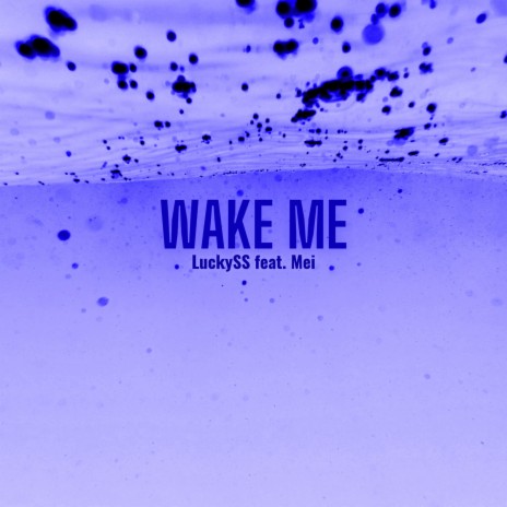 Wake Me (feat. LuckySS & Mei)