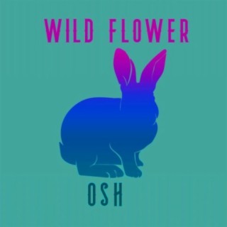 wild flower