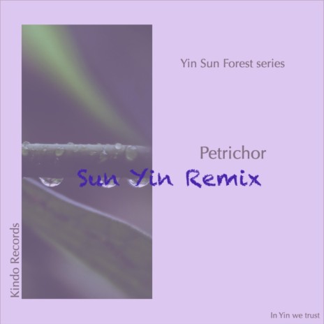 Petrichor (Sun Yin Remix) | Boomplay Music