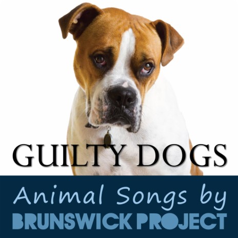 Guilty Dogs (Dog Shaming Song)