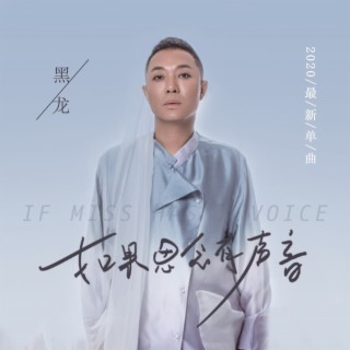 如果思念有声音 lyrics | Boomplay Music