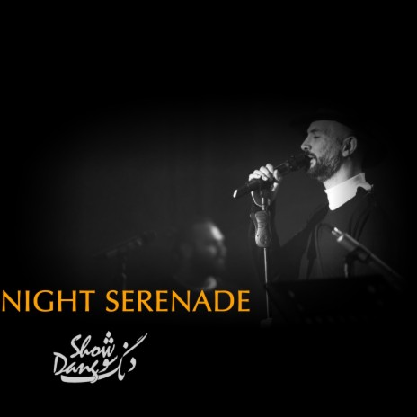 Night Serenade (Radio Edit) | Boomplay Music