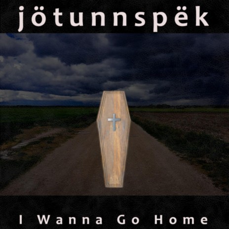 I Wanna Go Home | Boomplay Music