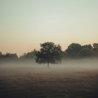 Fog (Instrumental)