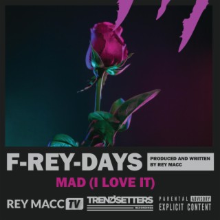 Mad (I Love It) lyrics | Boomplay Music