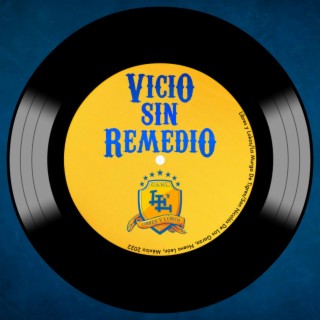 Vicio Sin Remedio lyrics | Boomplay Music