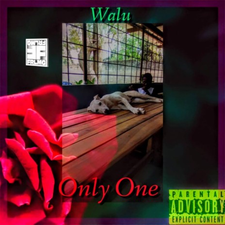 Only One | Boomplay Music