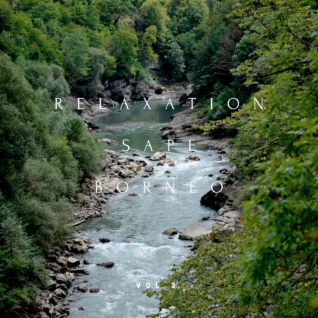 Relaxation Sape Borneo, Vol. 3 | Boomplay Music