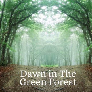 Dawn in the Green Forest
