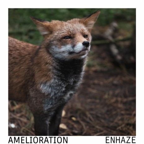 Amelioration