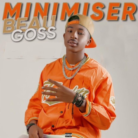 Minimiser | Boomplay Music