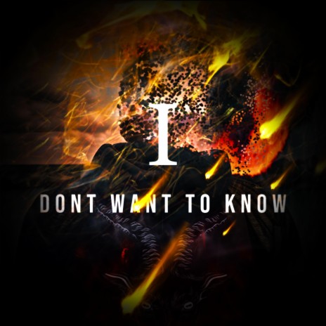 I Dont Wanna Know (Official Audio) | Boomplay Music