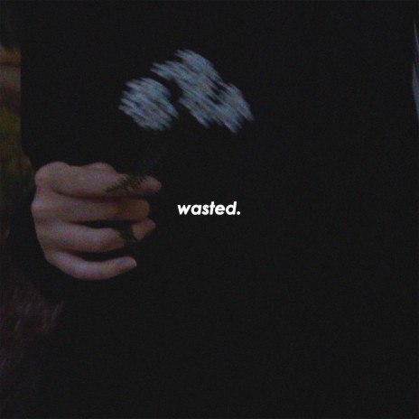 wasted ft. Fallen Oceans & Zebatin | Boomplay Music