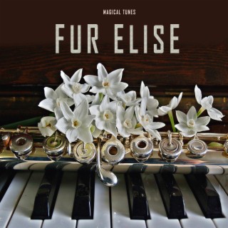 Fur Elise (Flute Piano Duet)